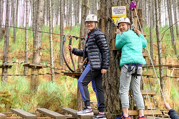Tree Adventures歷奇活動