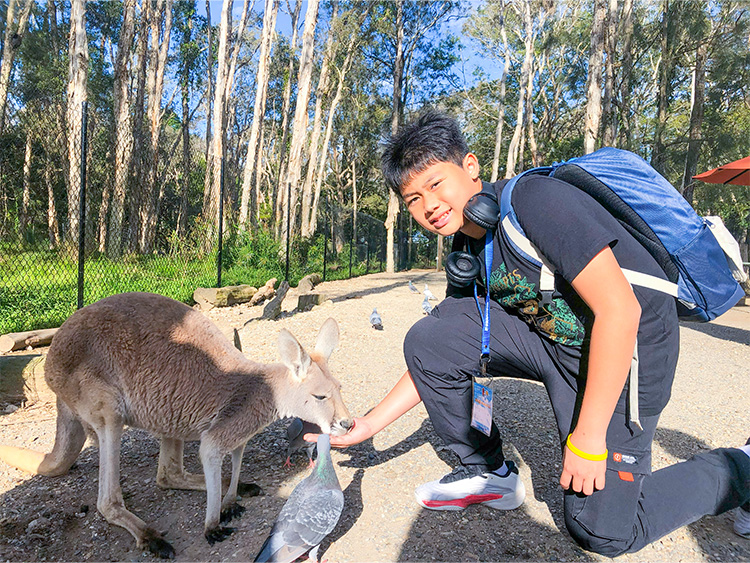 黃金海岸金色遊學假期