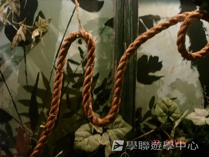 繽FUN遊學生活體驗之旅,學聯遊學團