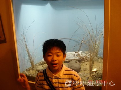 繽FUN遊學生活體驗之旅,學聯遊學團
