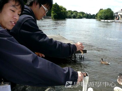 繽FUN遊學生活體驗之旅,學聯遊學團