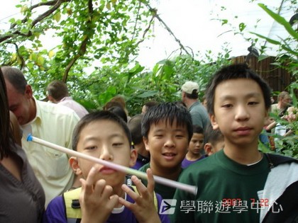 名人學府英語之旅,學聯遊學團