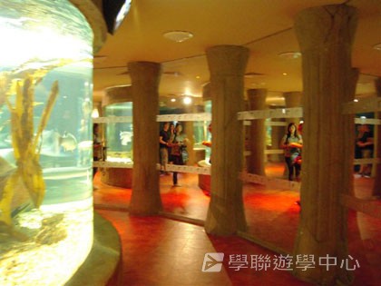 英倫之家初體驗,學聯遊學團