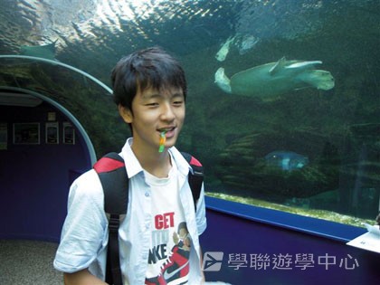 英倫之家初體驗,學聯遊學團