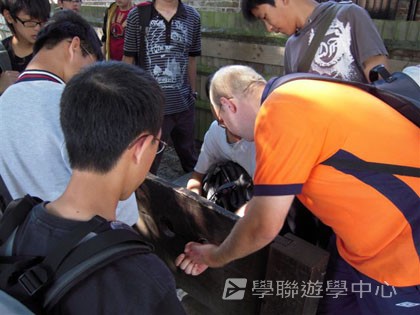 英倫之家初體驗,學聯遊學團