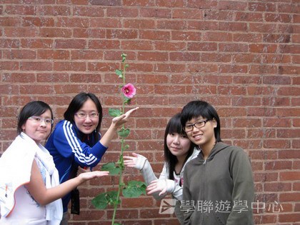 都會文化啟迪營,學聯遊學團