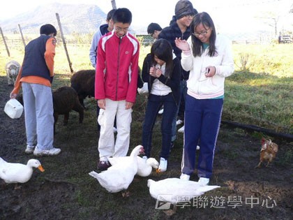 遊學 + 農莊生活體驗假期,學聯遊學團