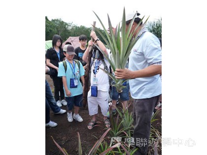 新加坡小小企業家興趣之旅,學聯遊學團