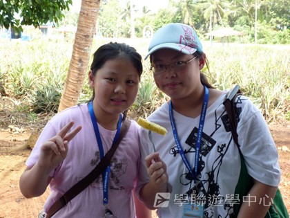 新加坡小小企業家興趣之旅,學聯遊學團