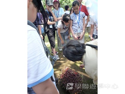 新加坡小小企業家興趣之旅,學聯遊學團