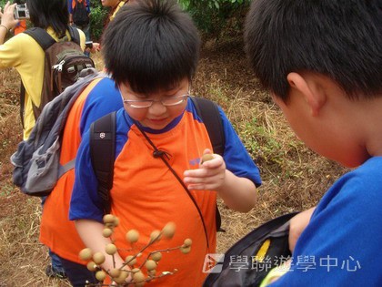 Oxbridge Summer English Camp,學聯遊學團