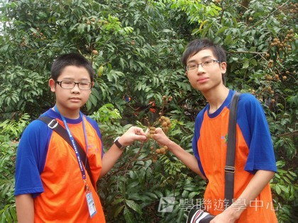 Oxbridge Summer English Camp,學聯遊學團