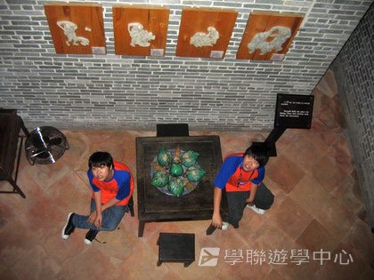 體育夏令營,學聯遊學團