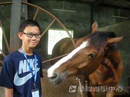 體育夏令營,學聯遊學團