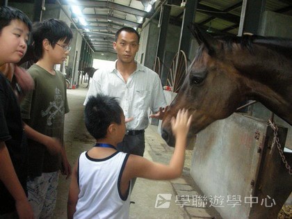 體育夏令營,學聯遊學團