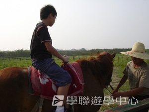 上海大學多元智能<br>普通話夏令營,學聯遊學團