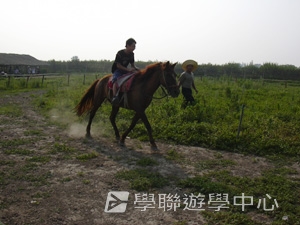 上海大學多元智能<br>普通話夏令營,學聯遊學團