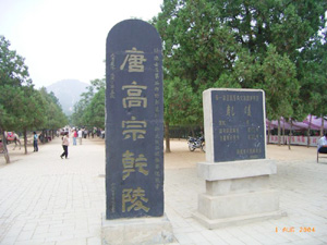 西安外國語學院,學聯遊學團