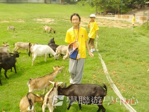 東莞 - 我的第一次夏令營,學聯遊學團