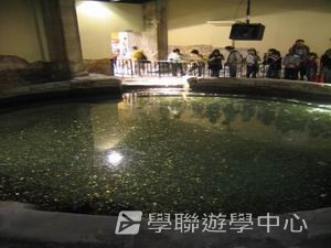 車路士至趣足球培訓營,學聯遊學團