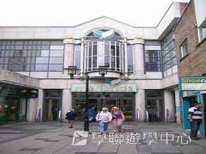 車路士至趣足球培訓營,學聯遊學團