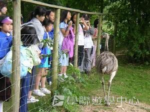 趣味英語兒童營,學聯遊學團
