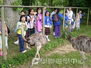 趣味英語兒童營,學聯遊學團
