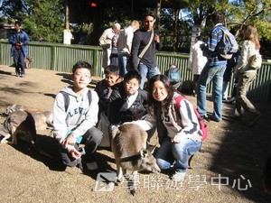 悉尼都會文化體驗遊學假期,學聯遊學團