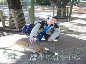 悉尼都會文化體驗遊學假期,學聯遊學團