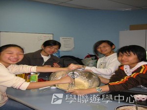 悉尼都會文化體驗遊學假期,學聯遊學團