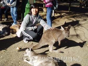 悉尼都會文化體驗遊學假期,學聯遊學團