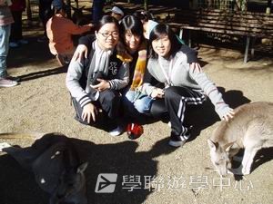 悉尼都會文化體驗遊學假期,學聯遊學團