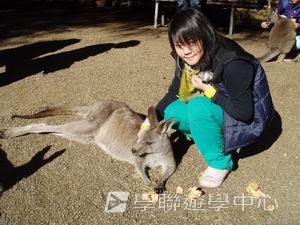 悉尼都會文化體驗遊學假期,學聯遊學團