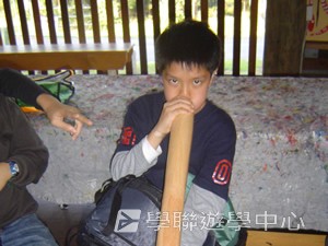布里斯本名校遊學假期,學聯遊學團