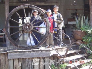 布里斯本名校遊學假期,學聯遊學團