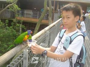 中西文化交流營,學聯遊學團