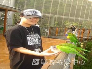 中西文化交流營,學聯遊學團