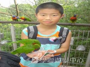 中西文化交流營,學聯遊學團