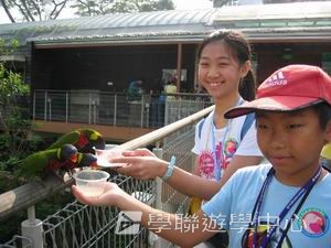 中西文化交流營,學聯遊學團