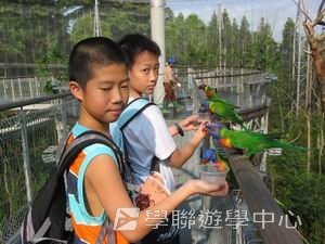 中西文化交流營,學聯遊學團