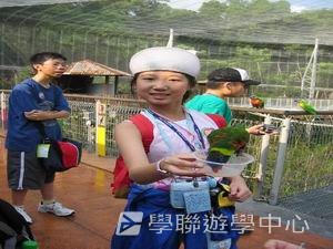 中西文化交流營,學聯遊學團