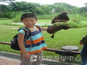 中西文化交流營,學聯遊學團