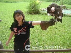 中西文化交流營,學聯遊學團