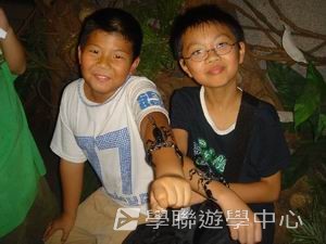 中西文化交流營,學聯遊學團