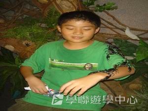 中西文化交流營,學聯遊學團