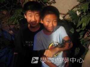 中西文化交流營,學聯遊學團