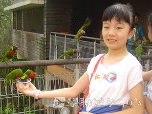 中西文化交流營,學聯遊學團