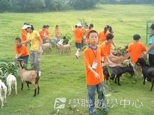 我的第一次夏令營,學聯遊學團