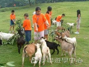我的第一次夏令營,學聯遊學團