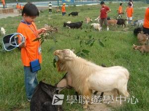 我的第一次夏令營,學聯遊學團